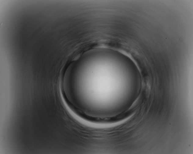 X0000094930274200712061135
