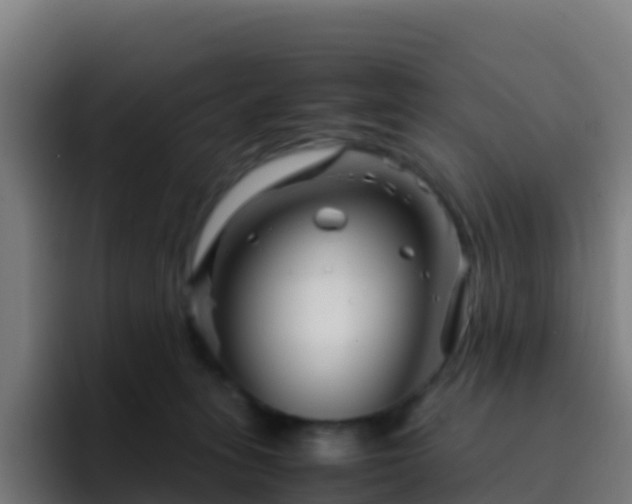 X0000094930275200712061135
