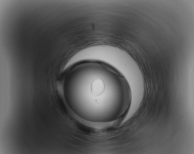 X0000094930276200712061135