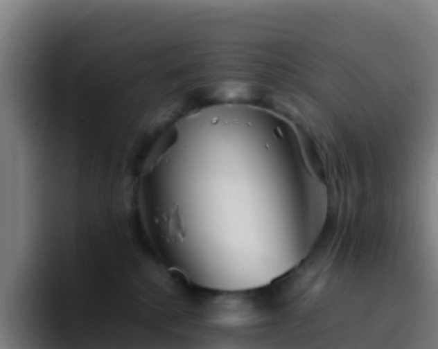 X0000094930280200712061135