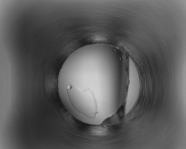X0000094930281200712061135