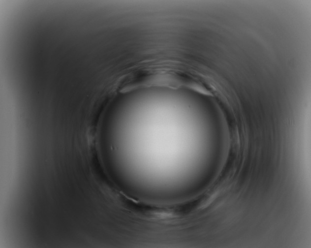 X0000094930284200712061135