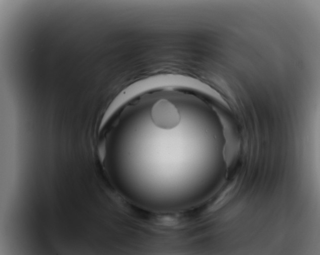 X0000094930285200712061135