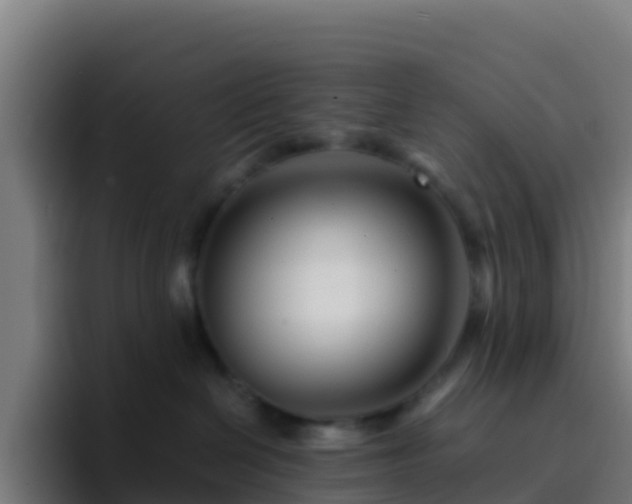 X0000094930286200712061135
