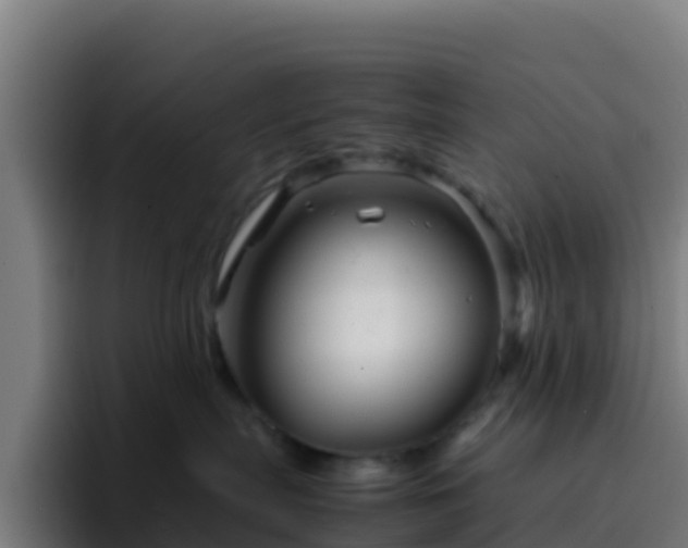 X0000094930287200712061135
