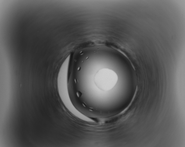 X0000094930288200712061135