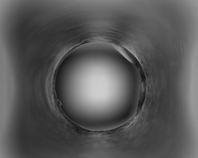 X0000094930289200712061134