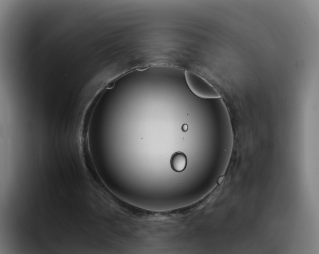X0000094930290200712061134