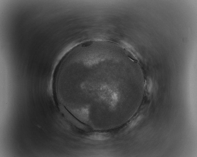 X0000094930292200712061134