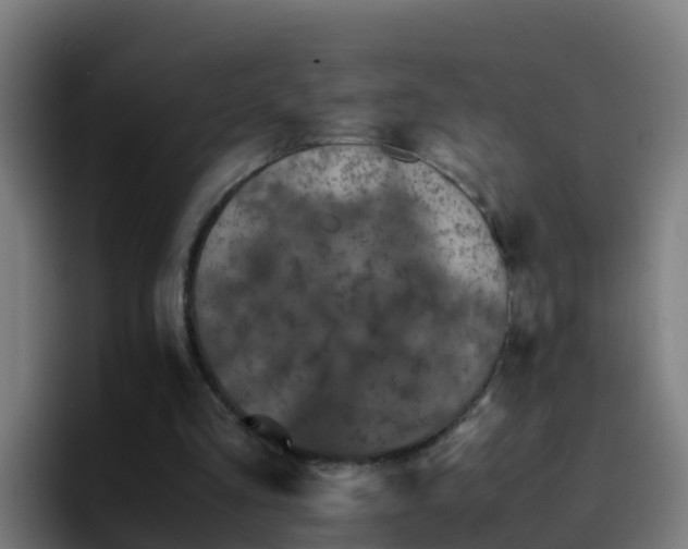 X0000094930293200712061134