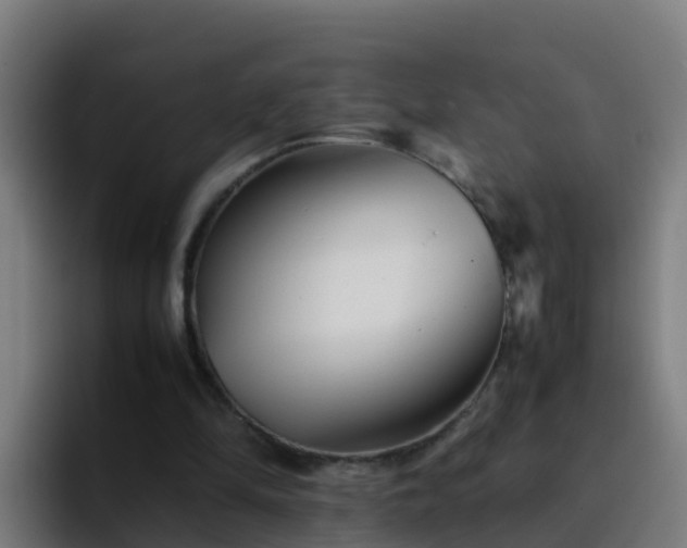 X0000094930294200712061134