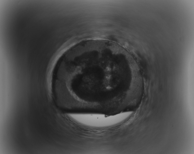 X0000094930295200712061134