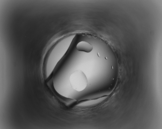 X0000094930296200712061134