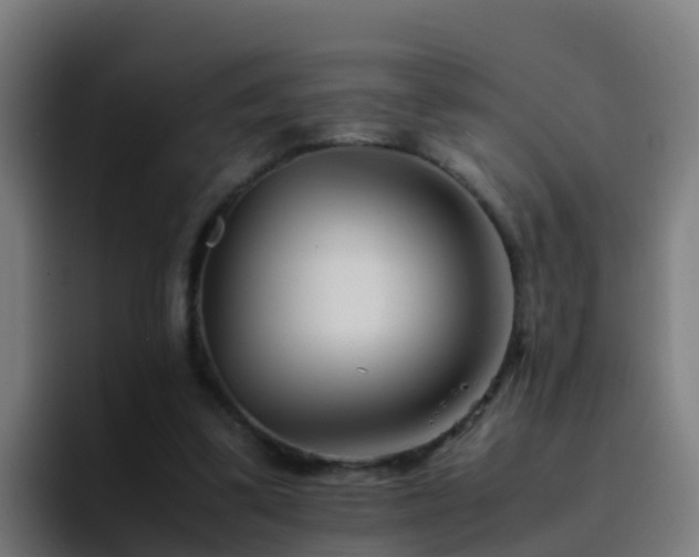 X0000094930299200712061134