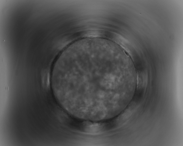 X0000094930301200712061134