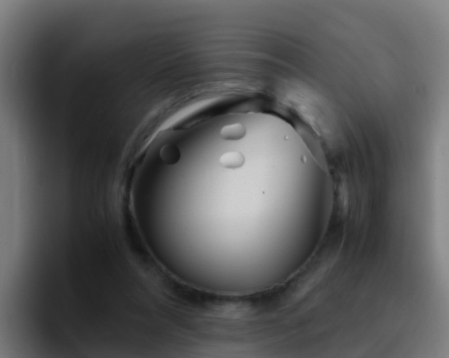 X0000094930304200712061134
