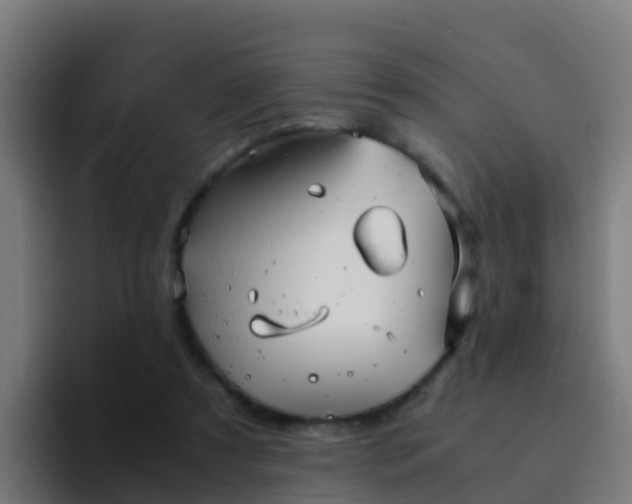 X0000094930305200712061134
