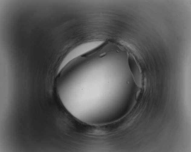 X0000094930308200712061134