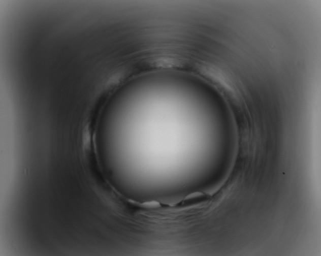 X0000094930310200712061134