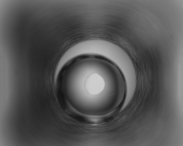 X0000094930312200712061134