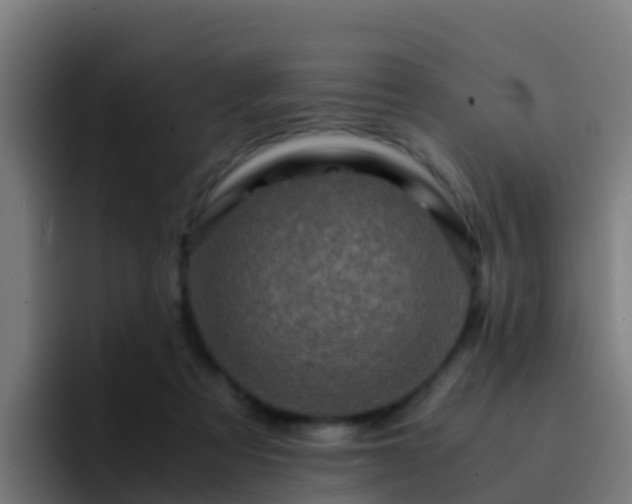 X0000094930313200712061134