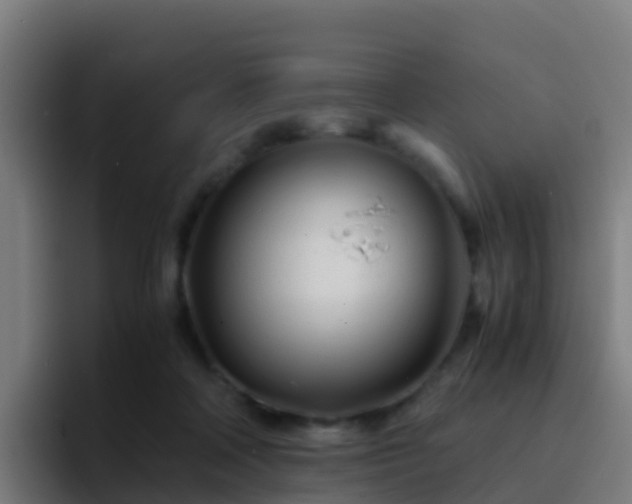 X0000094930314200712061134