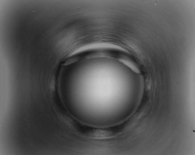 X0000094930315200712061134