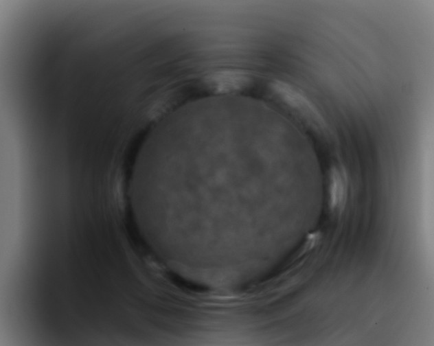 X0000094930316200712061134