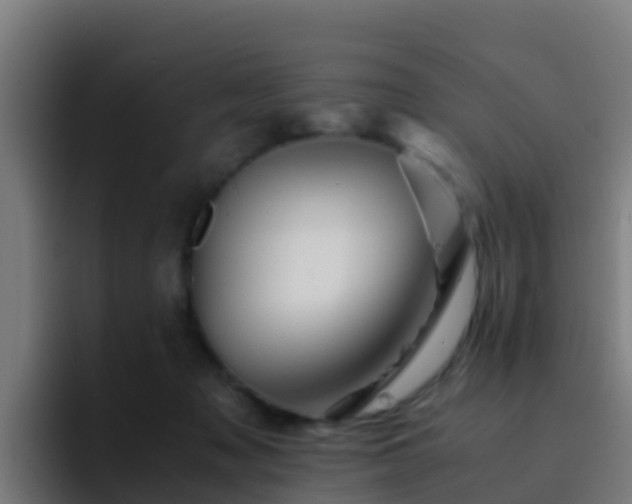 X0000094930317200712061134