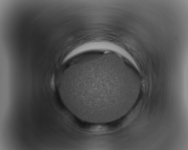 X0000094930319200712061134