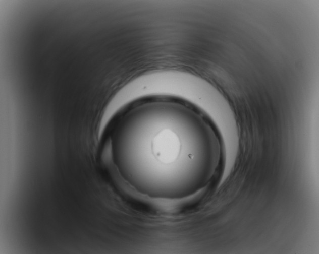 X0000094930320200712061134
