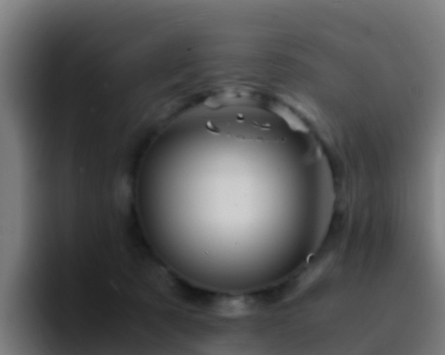 X0000094930321200712061134