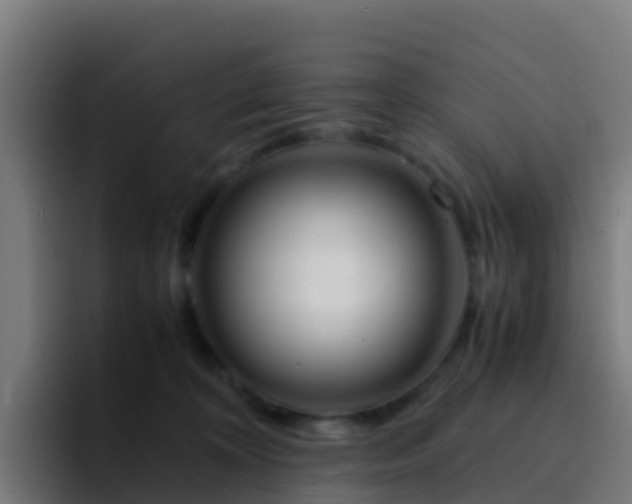 X0000094930324200712061134