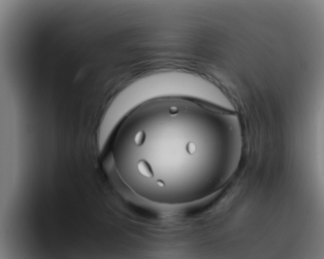 X0000094930325200712061134