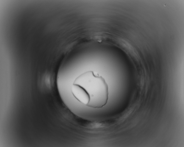X0000094930326200712061134