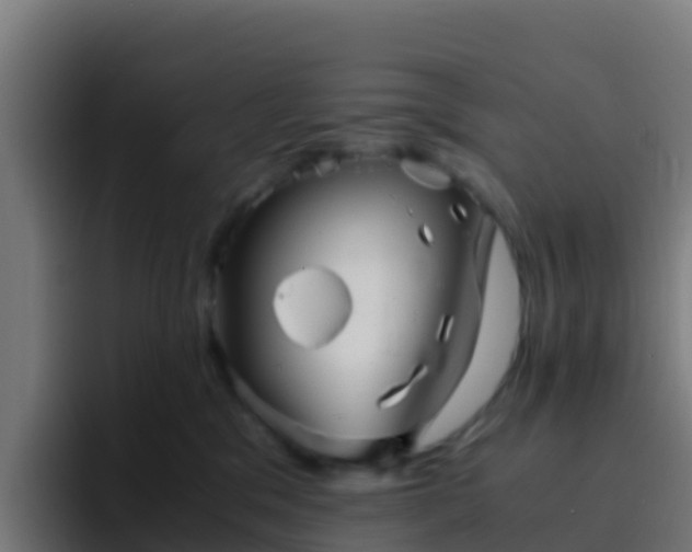 X0000094930329200712061134