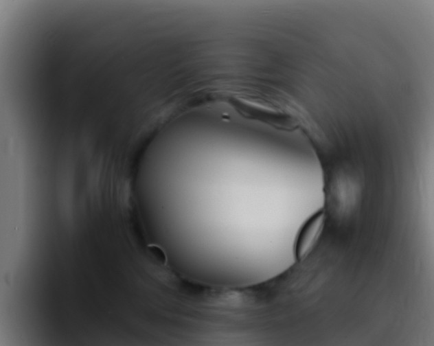 X0000094930330200712061134