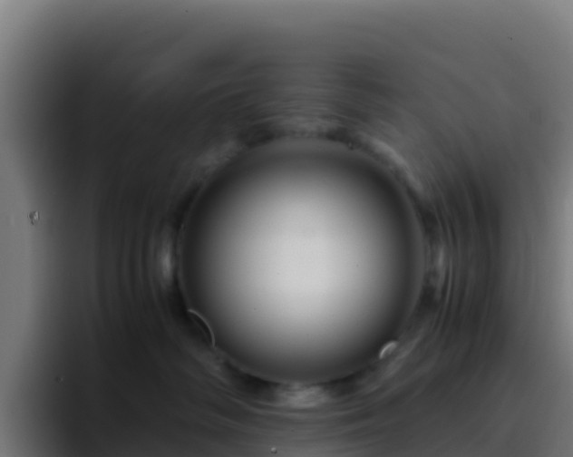 X0000094930334200712061134