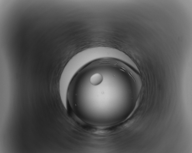 X0000094930336200712061134