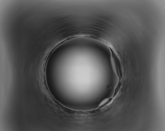 X0000094930337200712061133