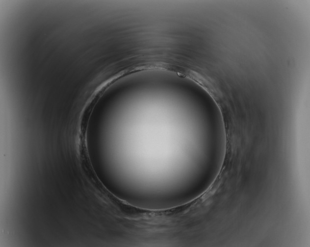 X0000094930338200712061133