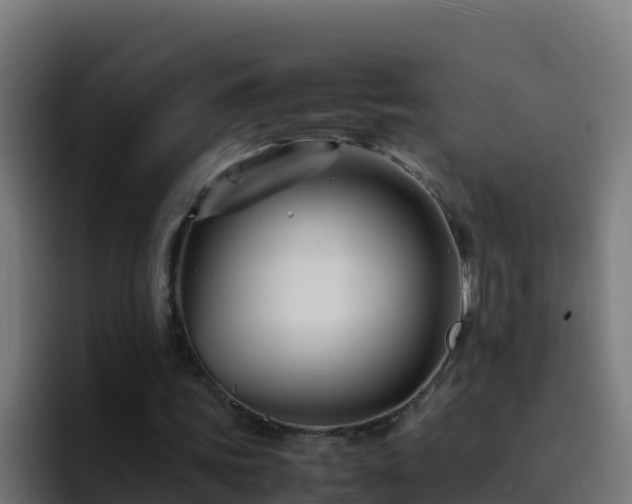 X0000094930339200712061133