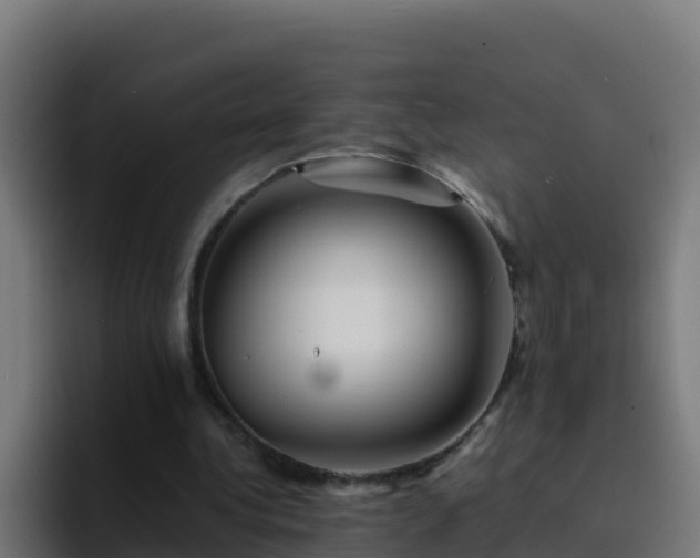 X0000094930340200712061133