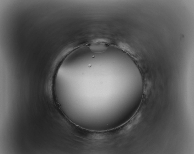 X0000094930341200712061133
