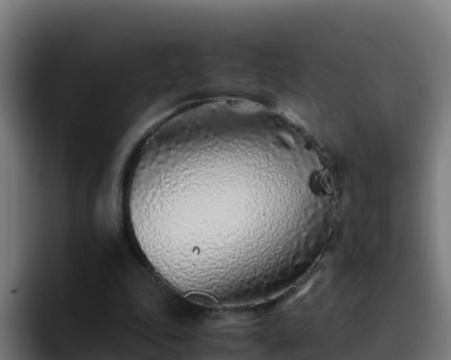 X0000094930343200712061133