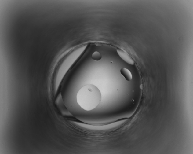 X0000094930344200712061133