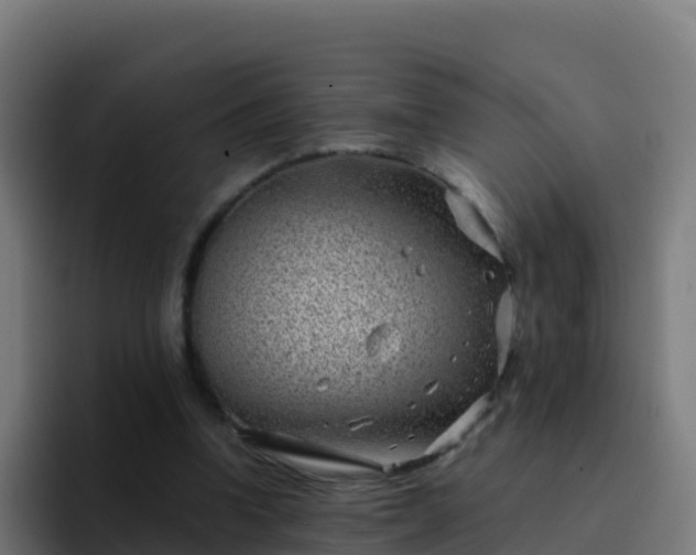 X0000094930346200712061133