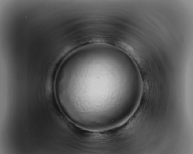 X0000094930347200712061133