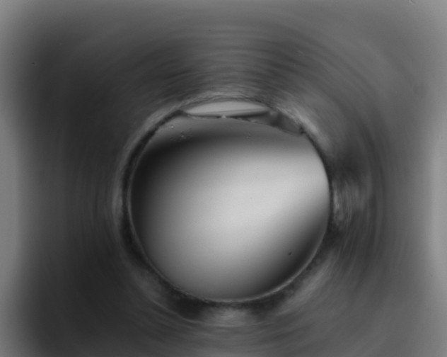 X0000094930348200712061133
