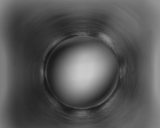 X0000094930349200712061133